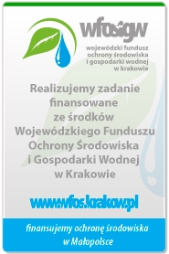 https://www.wfos.krakow.pl/