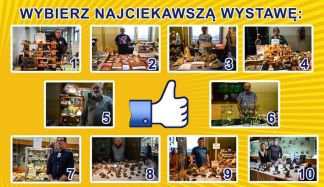 Wybierz najciekawsza wystawę