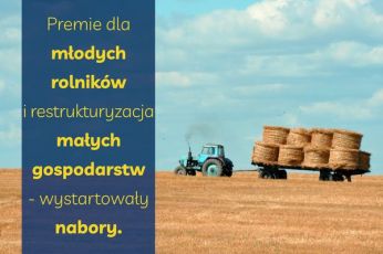 Premie dla młodych rolników i restrukturyzacja małych gospodarstw – wystartowały nabory