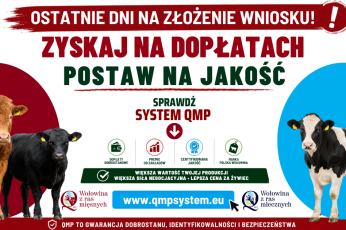 Ekoschemat „Dobrostan zwierząt” Dodatkowe pieniądze dla hodowców z QMP – tylko do 1 czerwca!
