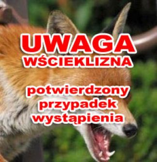 UWAGA - potwierdzony przypadek wystąpienia wścieklizny.