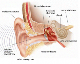 BEZPŁATNE BADANIE SŁUCHU