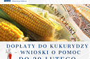 Dopłaty do kukurydzy – wnioski o pomoc do 29 lutego