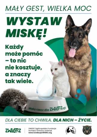 Mały gest, wielka moc