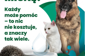 Mały gest, wielka moc