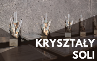 KRYSZTAŁY SOLI