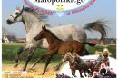 Święto Konia Małopolskiego