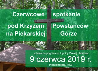 Czerwcowe spotkanie pod Krzyżem Powstańców na Piekarskiej Górze