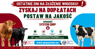 Ekoschemat „Dobrostan zwierząt” Dodatkowe pieniądze dla hodowców z QMP – tylko do 1 czerwca!