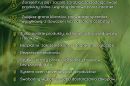 RYNEK XXI WIEKU DLA LOKALNYCH SPRZEDAWCÓW I PRODUCENTÓW