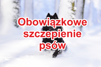 Obowiązkowe szczepienie psów