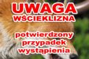 UWAGA - potwierdzony przypadek wystąpienia wścieklizny.