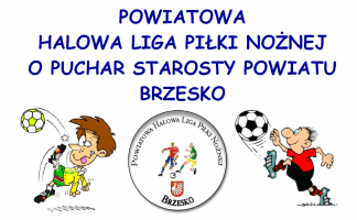 POWIATOWA  HALOWA LIGA PIŁKI NOŻNEJ   O PUCHAR STAROSTY POWIATU BRZESKO