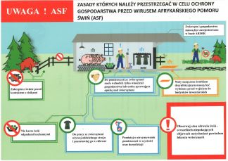 Informacja dla hodowców trzody chlewnej dotycząca afrykańskiego pomoru świń