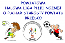 POWIATOWA  HALOWA LIGA PIŁKI NOŻNEJ   O PUCHAR STAROSTY POWIATU BRZESKO