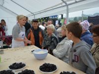 Święto Suszonej Śliwki 2017