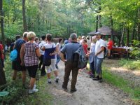 X Górski Maraton na Orientacje, 10-11 września 2016 r.